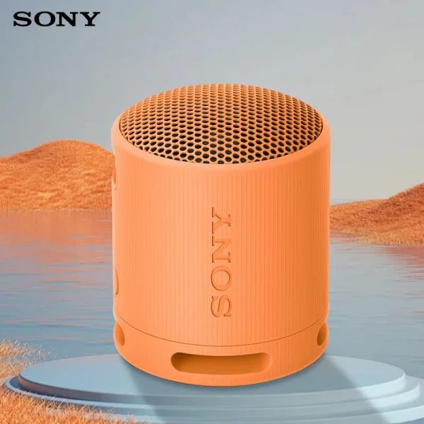 Sony SRS-XB100